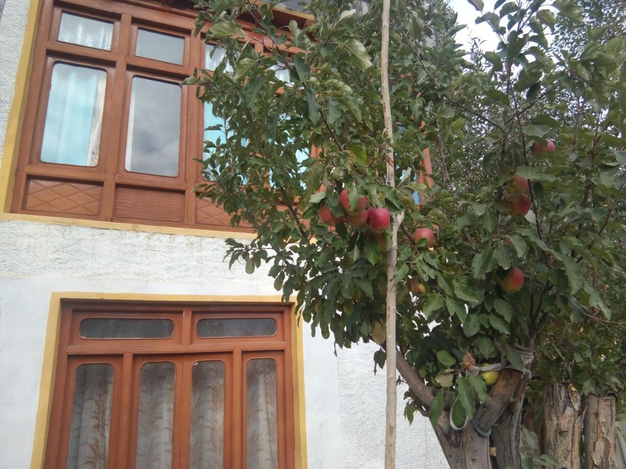 Achina Hotel Leh Exterior photo